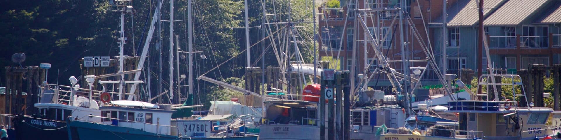 Tofino Hotel Guide