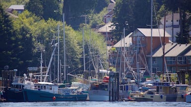 Tofino mostrando paseos en lancha, una ciudad costera y una bahía o puerto