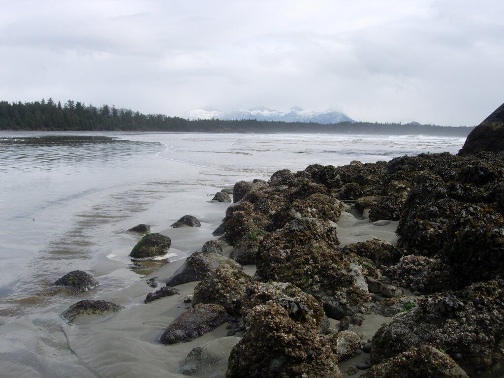 Beach walkers delight.