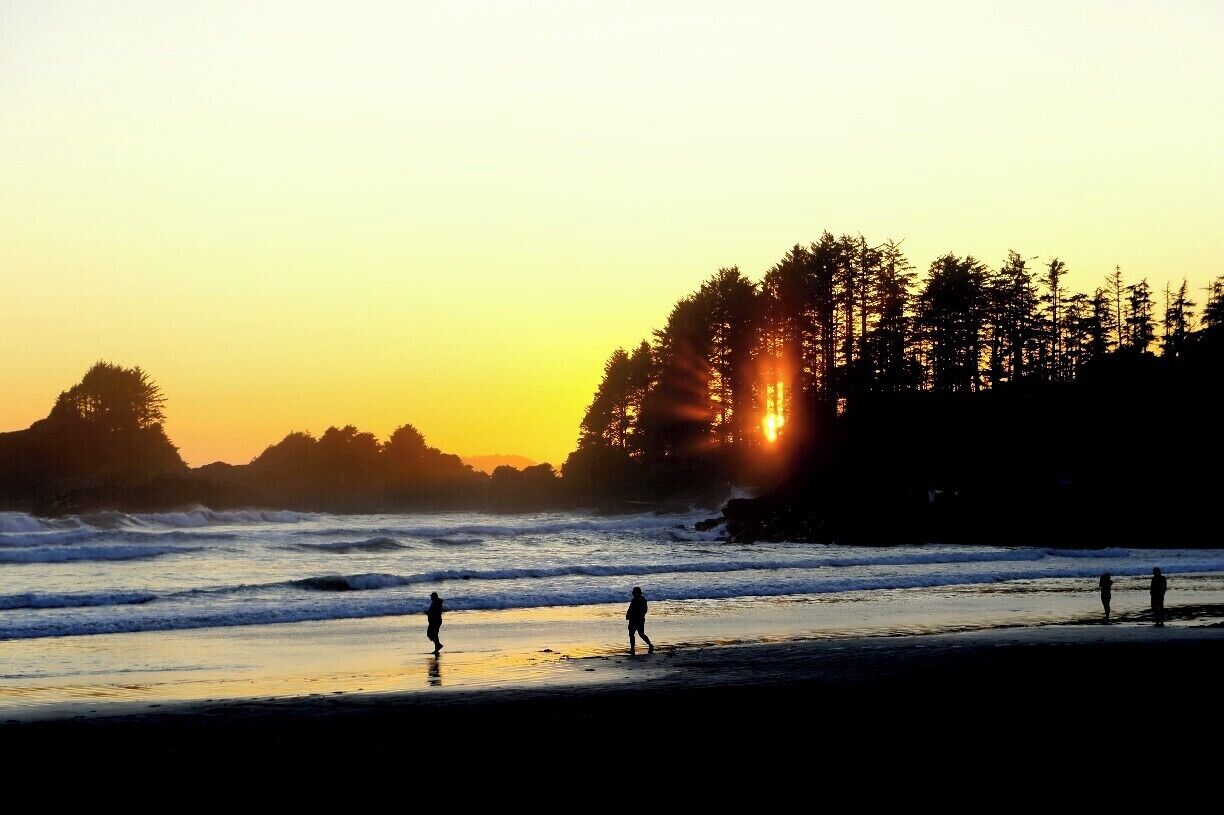 A beach at sunset with waves and silhouettes of trees and people.