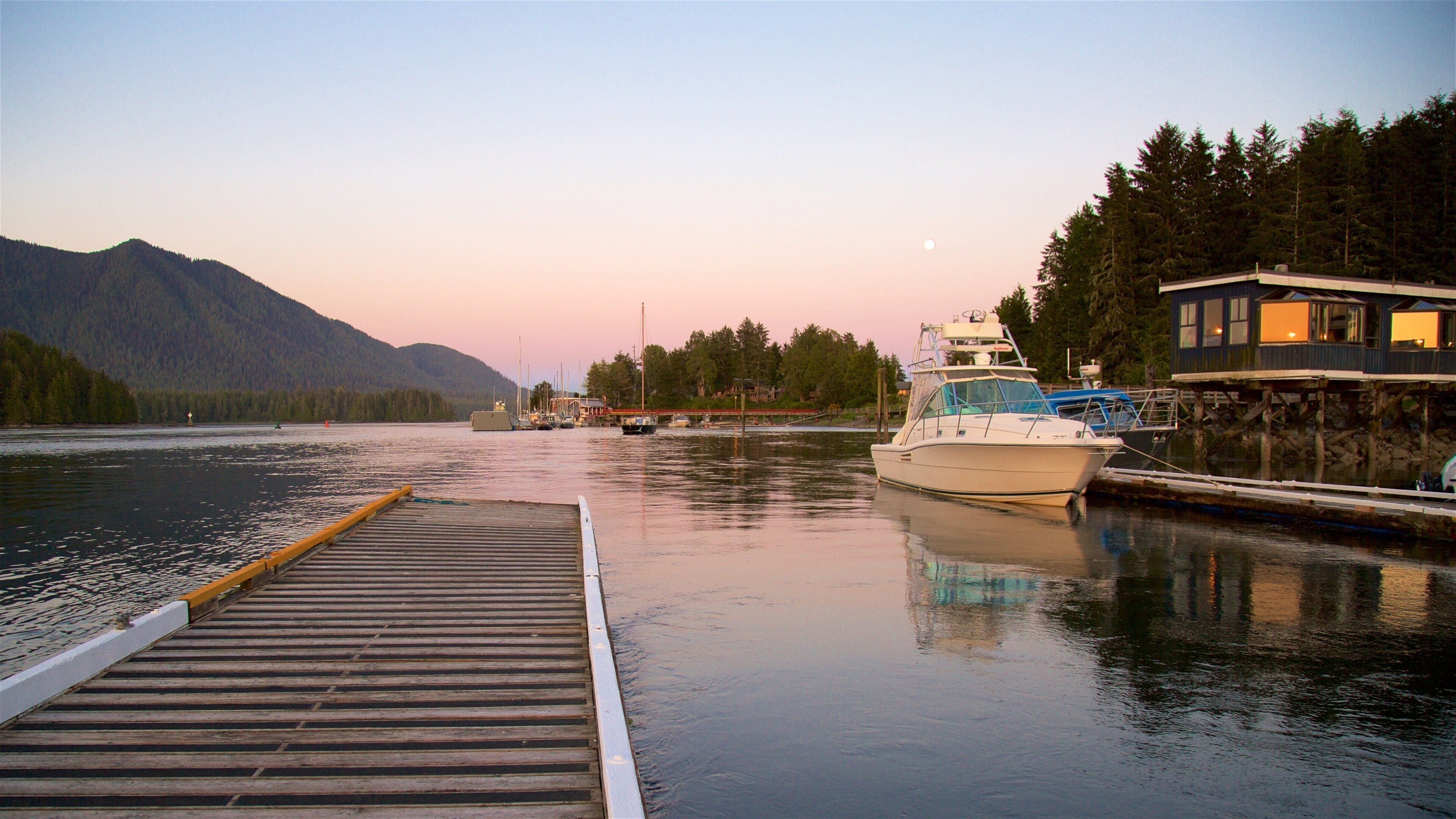 Tofino showing a bay or harbor and a sunset