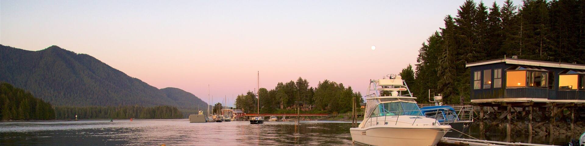 Tofino showing a bay or harbor and a sunset
