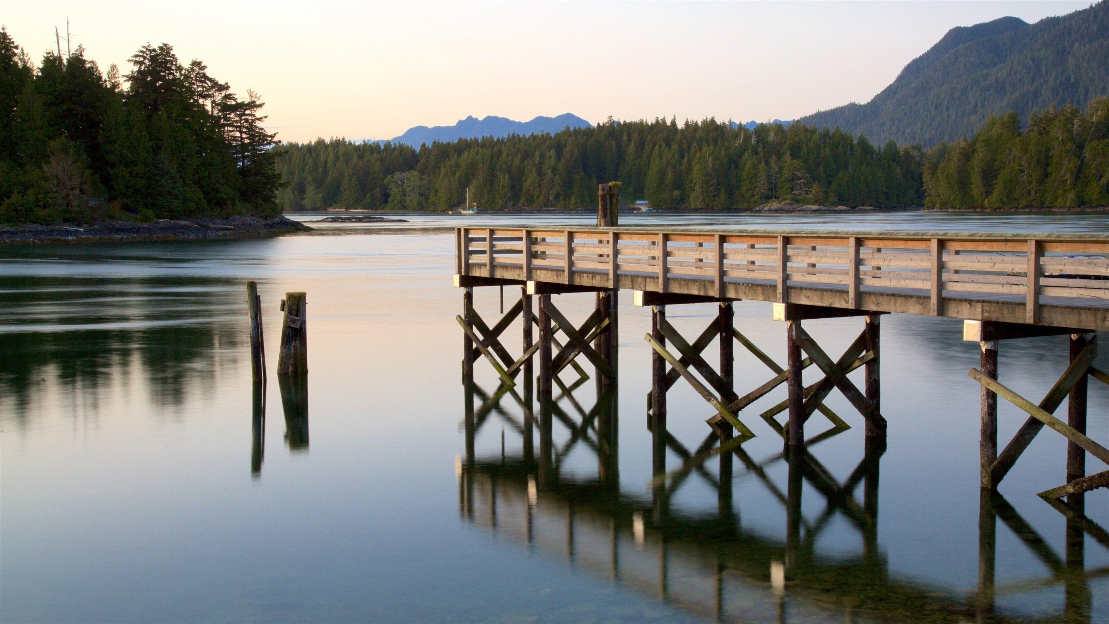 Tofino montrant coucher de soleil et rivière ou ruisseau