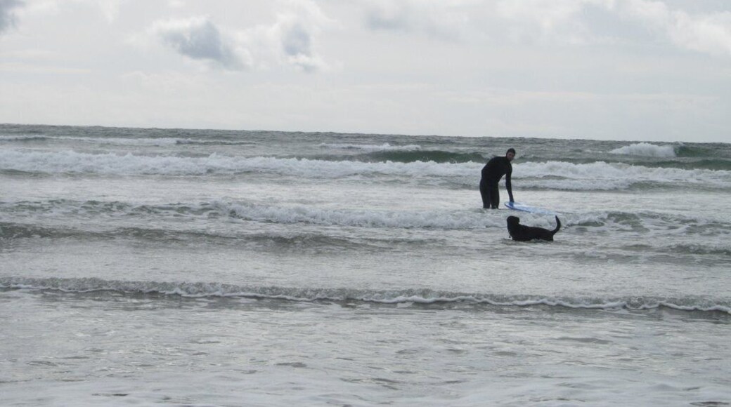 Your dog may want to go surfing with you in these mild waves.