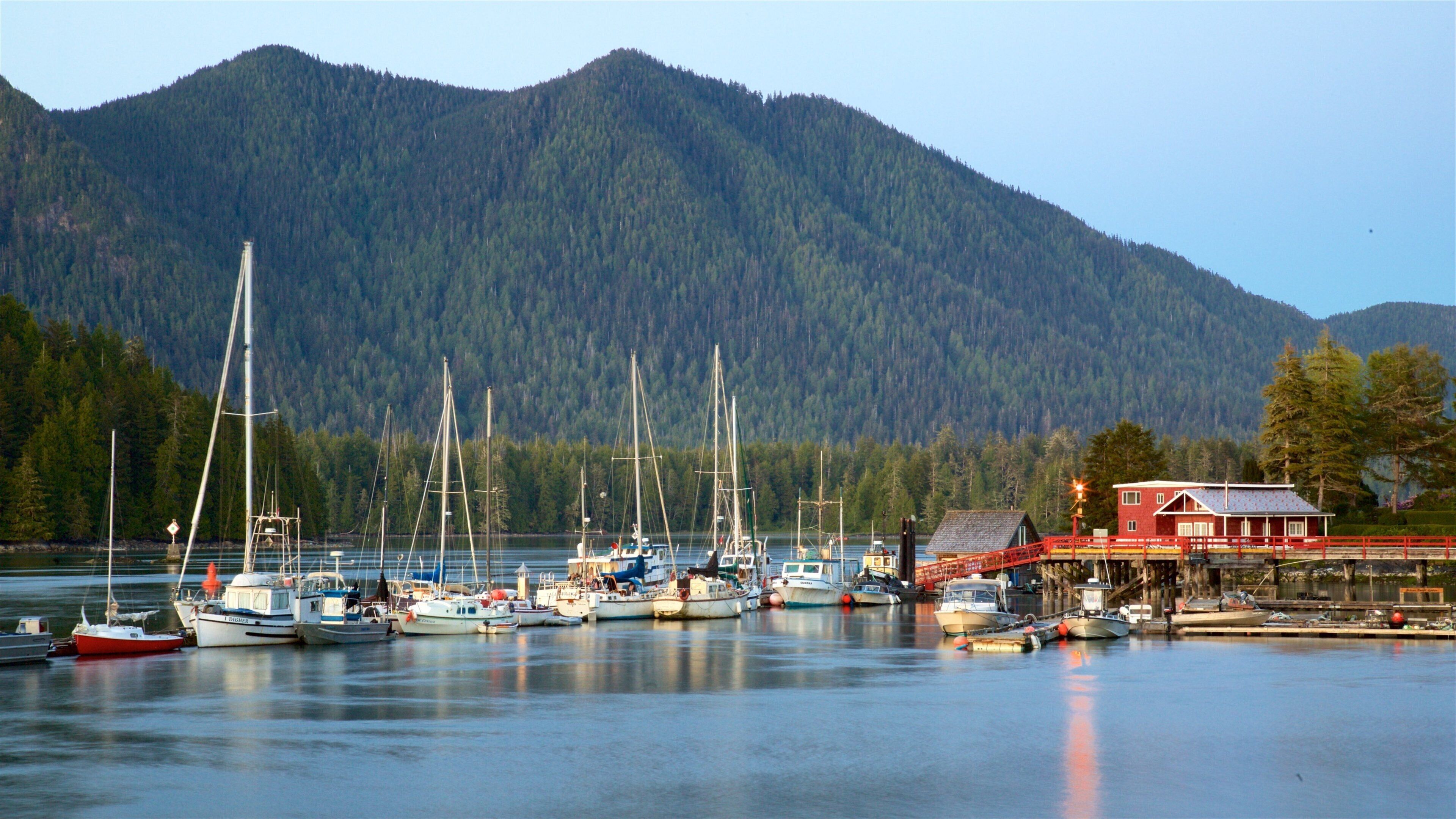 A marina with boats docked, a red building, and a forested mountain in the background.