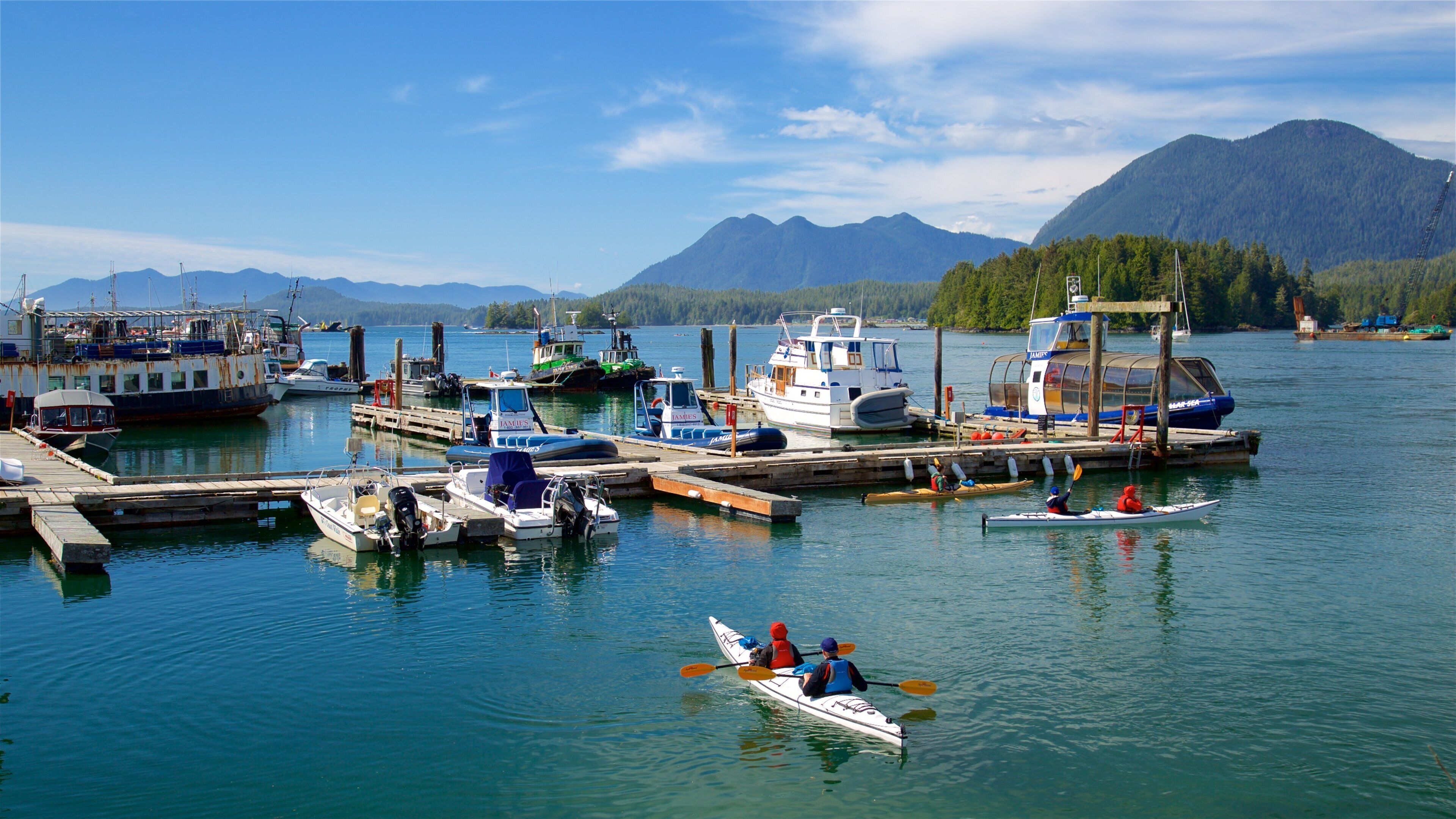Tofino featuring kayaking or canoeing and a bay or harbour as well as a couple