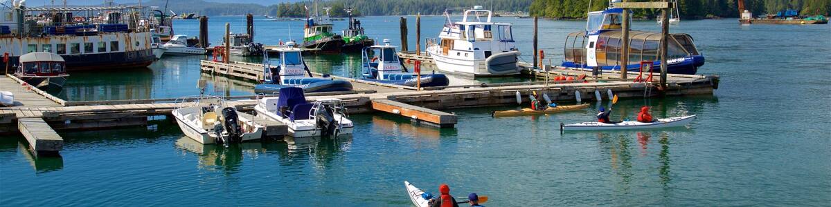 Tofino featuring kayaking or canoeing and a bay or harbour as well as a couple