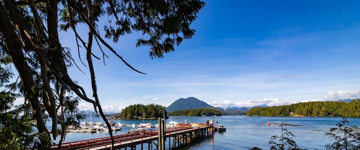 A pier extending into a lake with boats docked, surrounded by trees and mountains in the background.