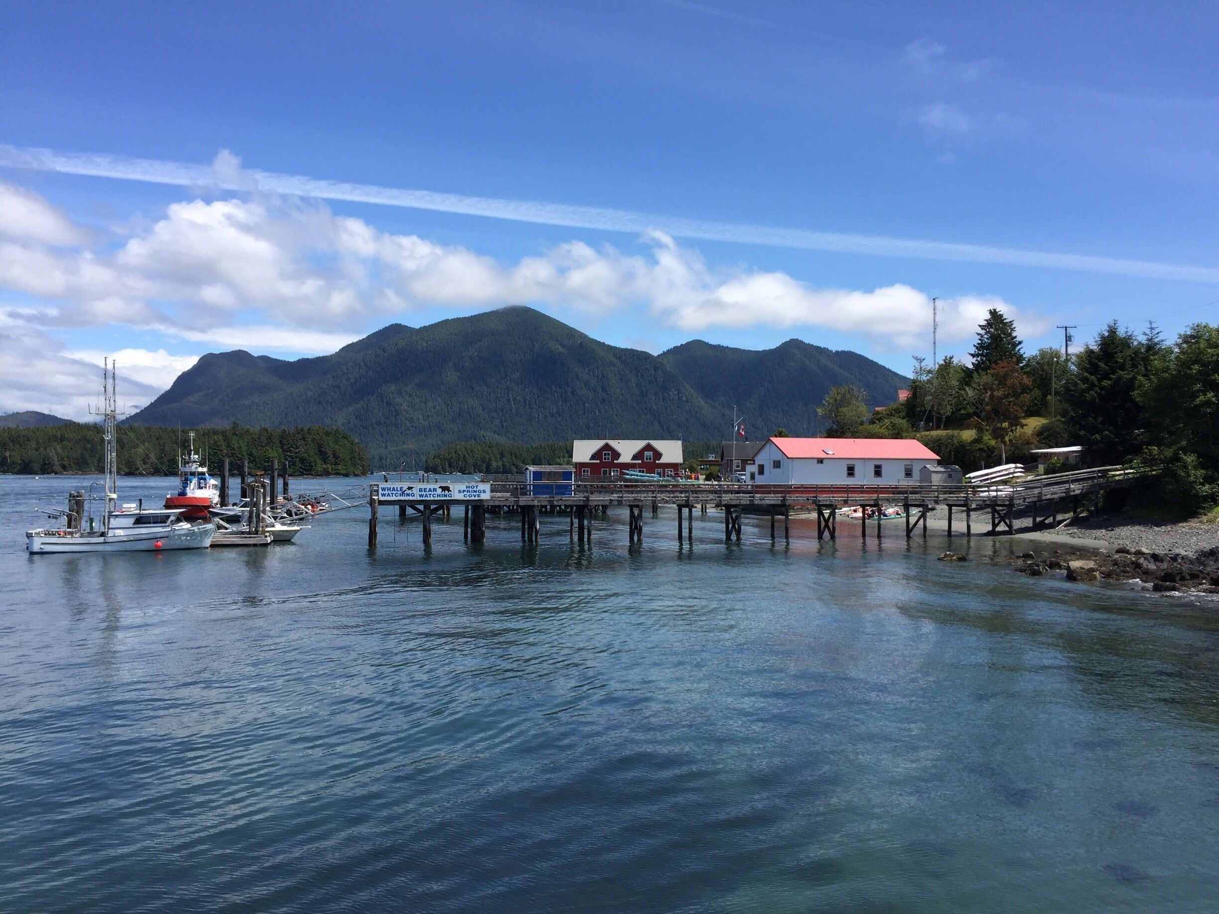 View from the pier at Tofino, on the west coast of Vancouver Island. Great place to catch a whale watching or bear watching trip. You can also take a floatplane trip from here. 