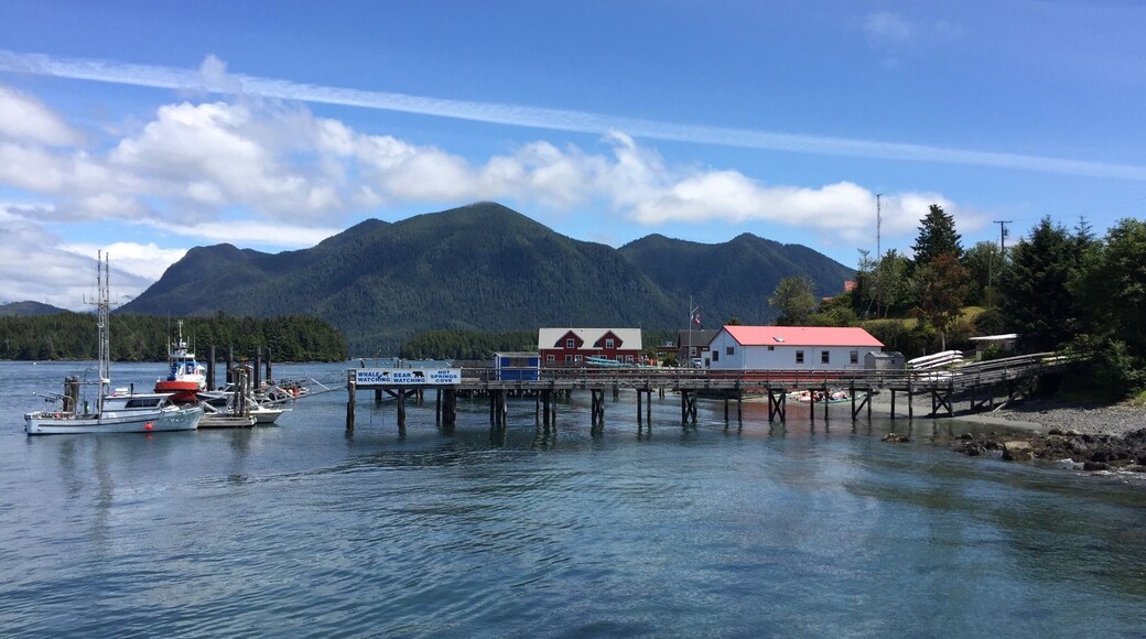 View from the pier at Tofino, on the west coast of Vancouver Island. Great place to catch a whale watching or bear watching trip. You can also take a floatplane trip from here.