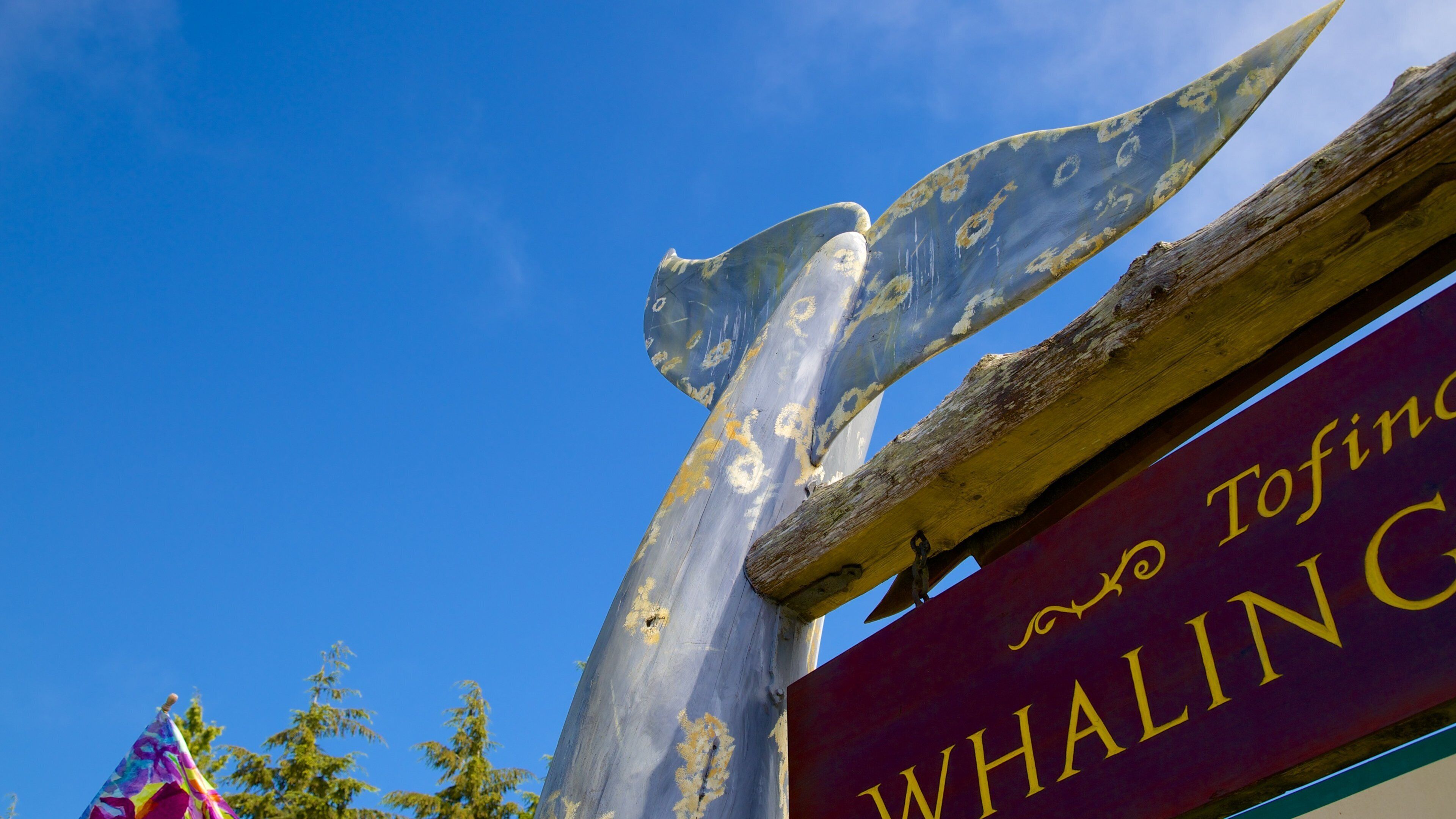 A wooden sign with a whale design and the words "Tofino Whaling" written on it.