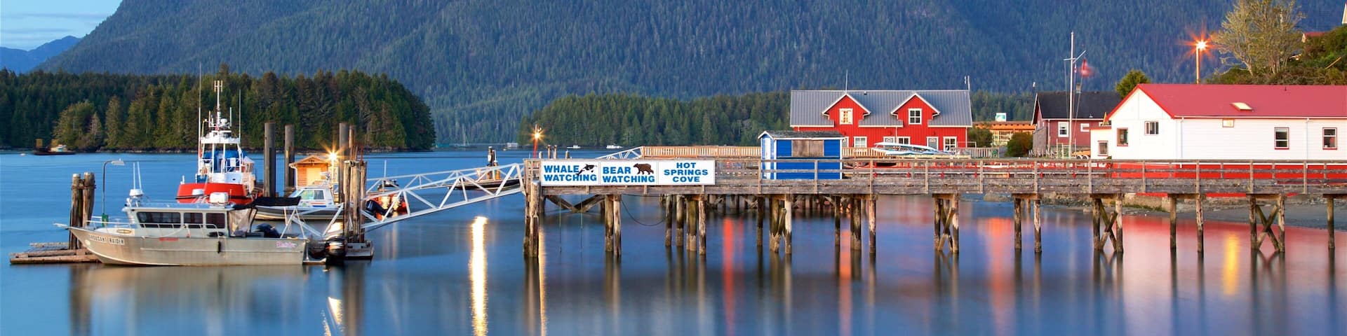 Tofino showing tranquil scenes and a lake or waterhole