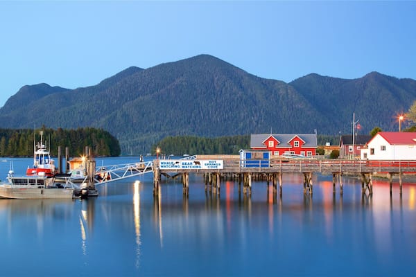 Tofino showing tranquil scenes and a lake or waterhole