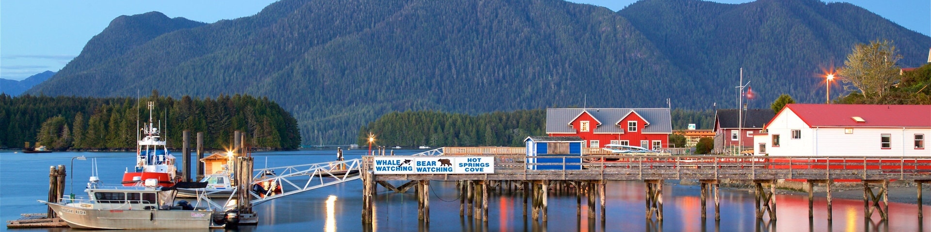 Tofino showing tranquil scenes and a lake or waterhole