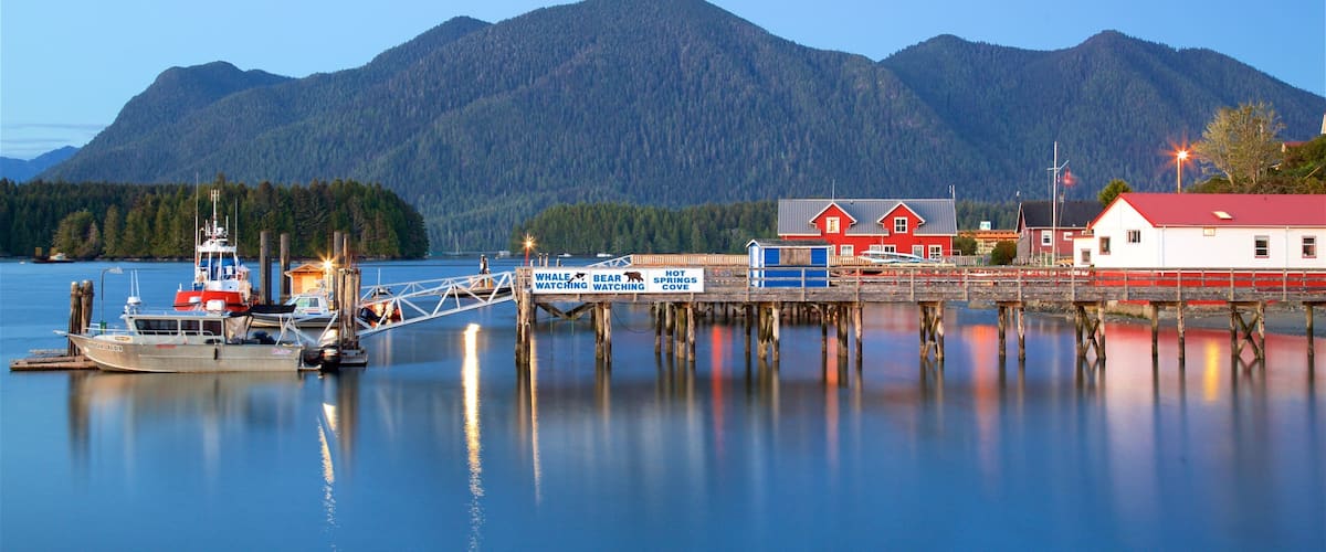 A calm harbor with boats, a wooden pier, and a mountain in the background.