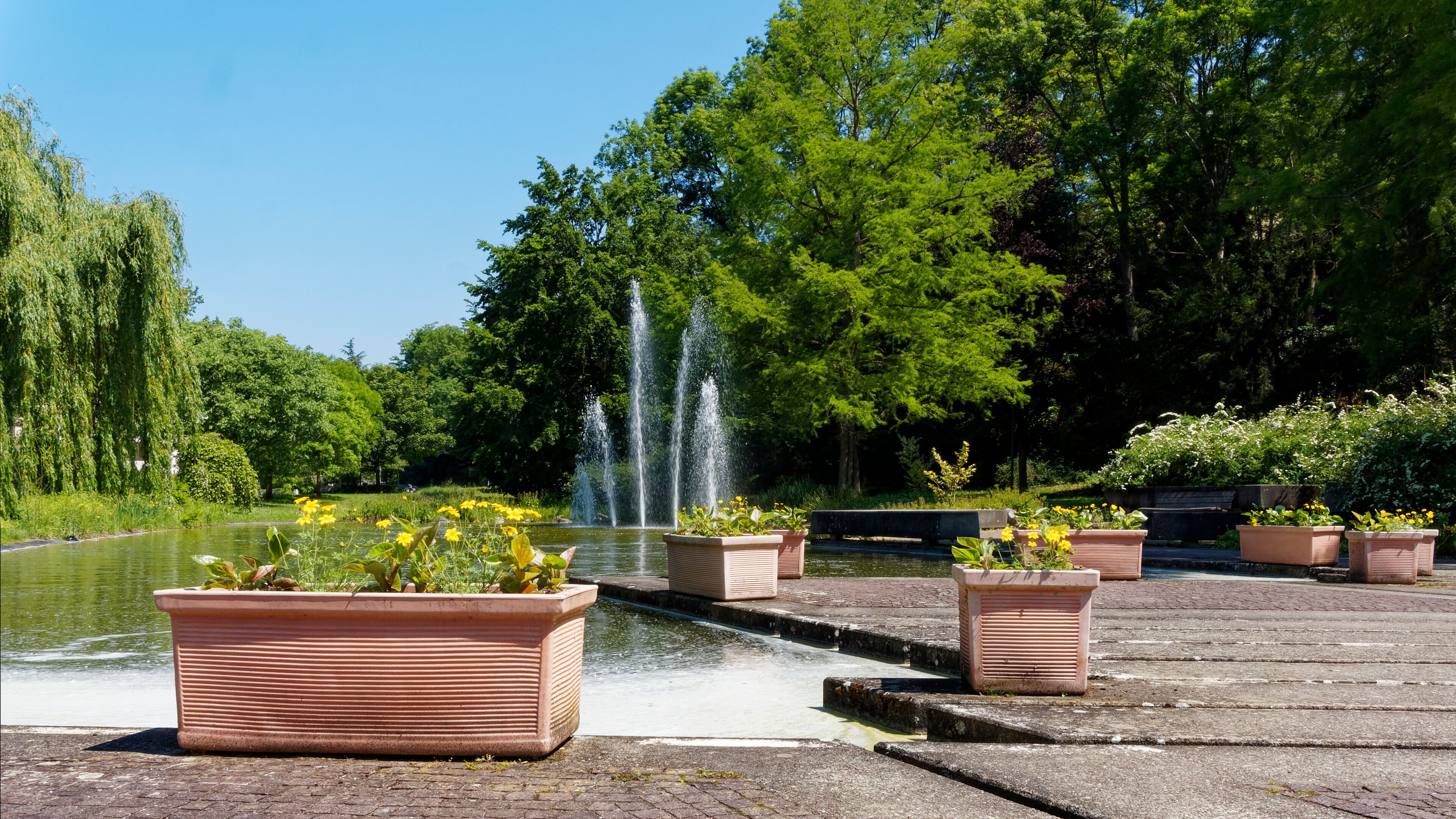 A serene park with a fountain, lush greenery, and flower planters.