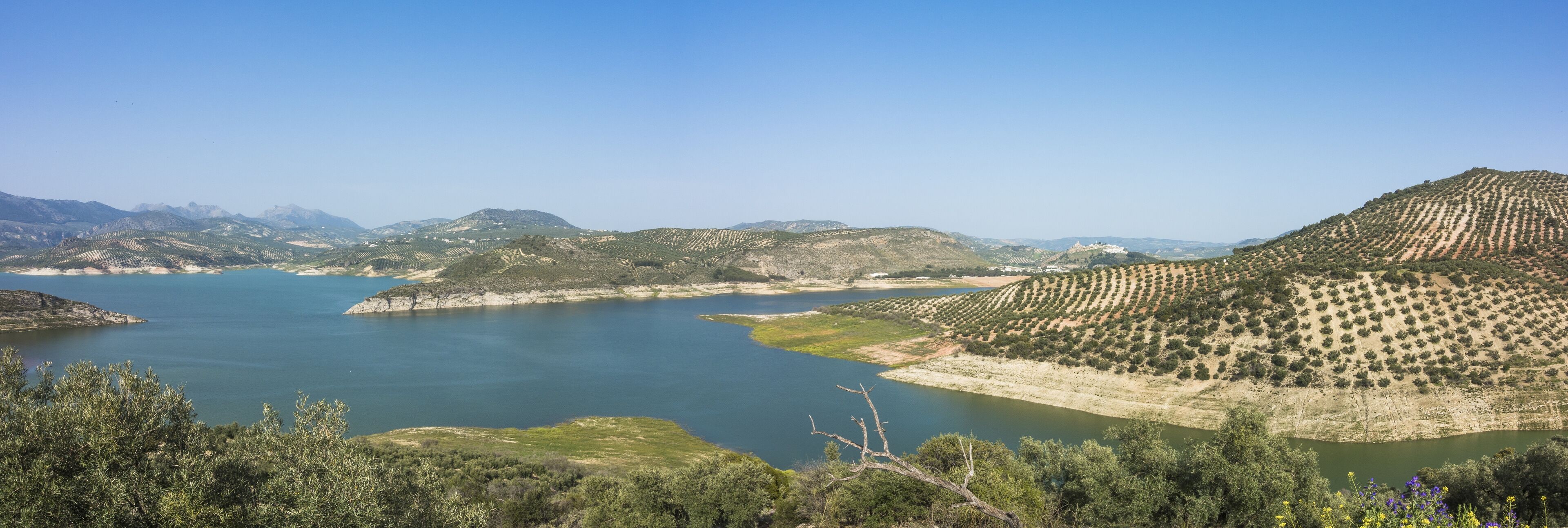 Iznajar lake surrounded by olive groves and pine woods, Cordoba province, Andalusia, Spain
