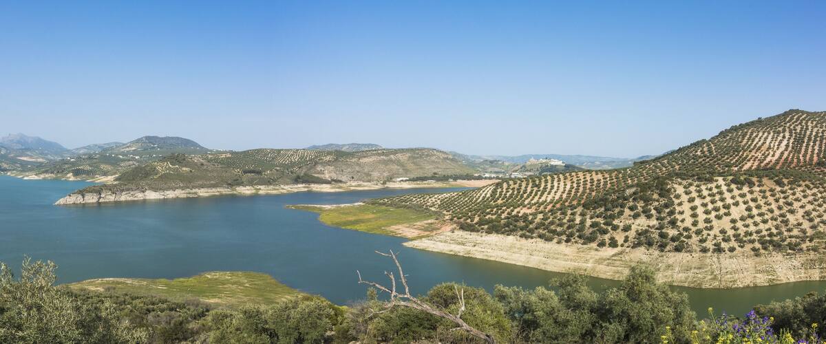 A coastal landscape with a large body of water, terraced fields, and distant mountains.