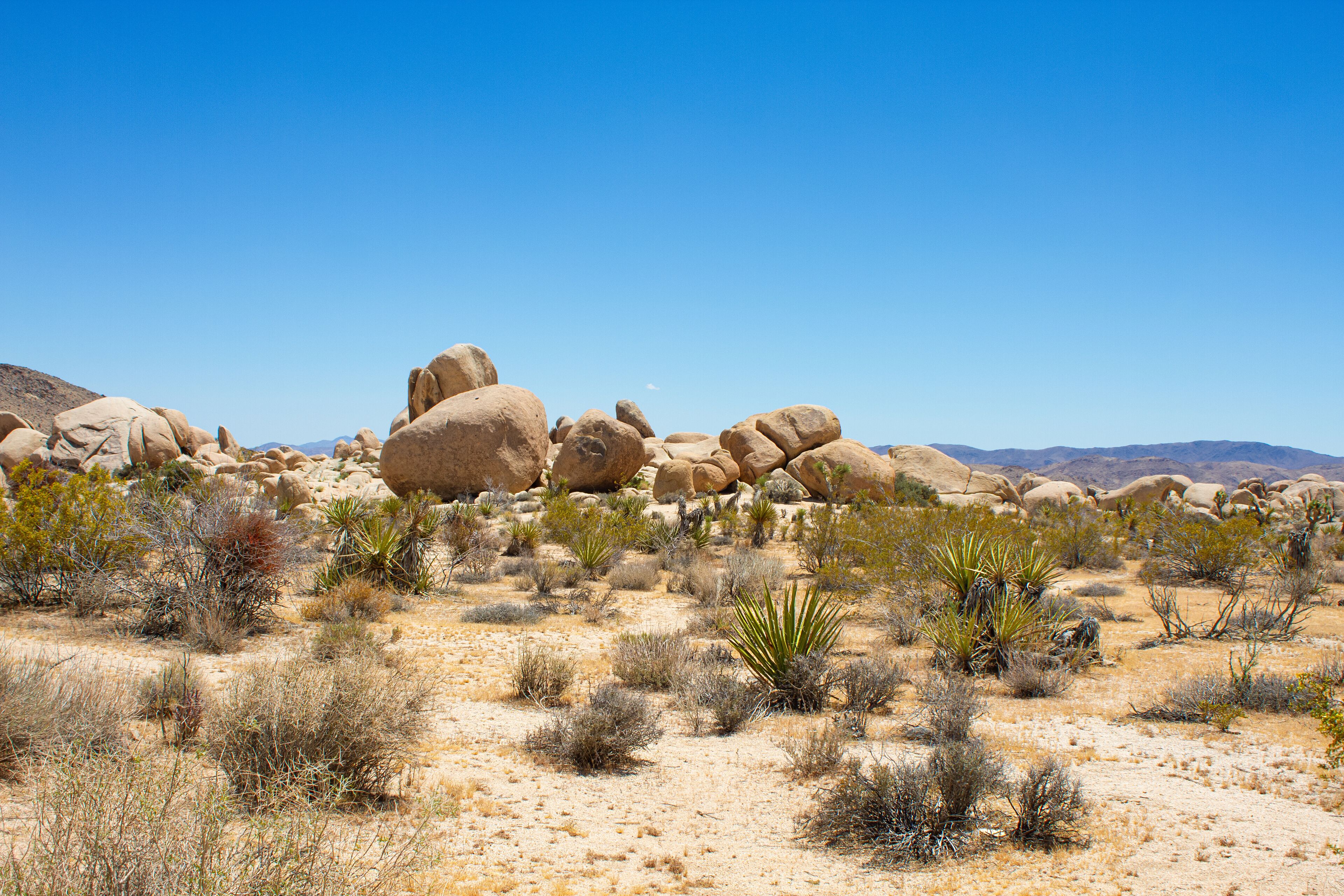 Boulders and rocks overview on Arch Rock trail in Joshua Tree National Park, California, United States. Desert. Travel concept