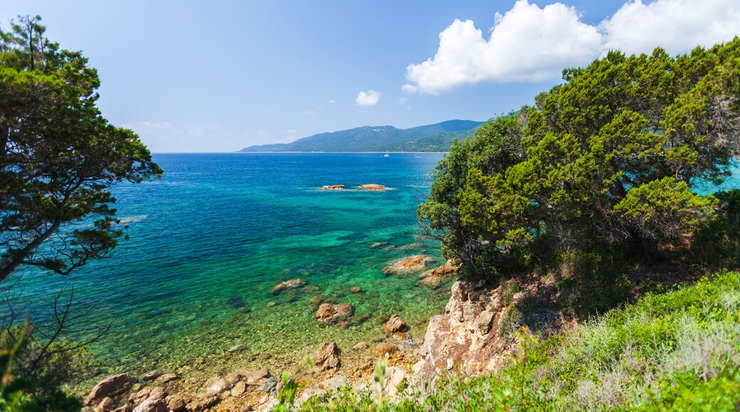 Cupabia beach. Summer landscape of Corsica island on a sunny day