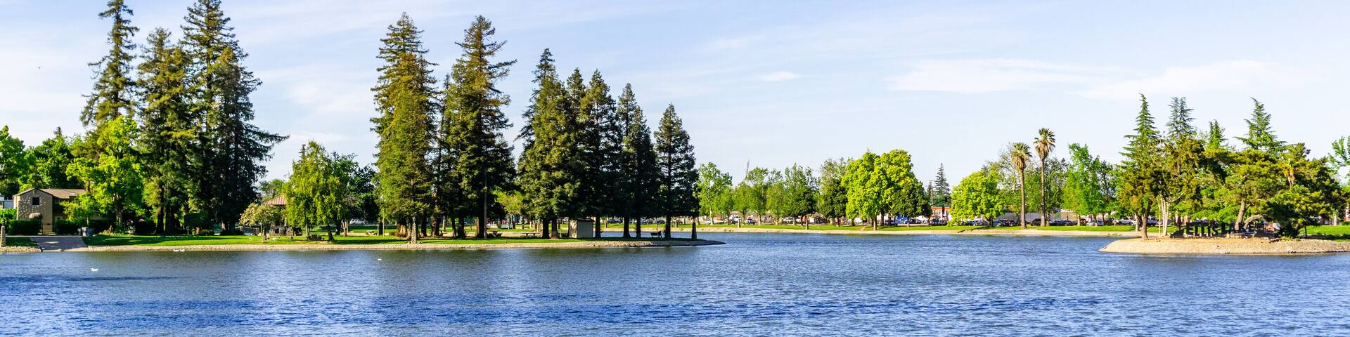 Large redwood trees on the shoreline of Lake Ellis, Marysville, Yuba County, California
