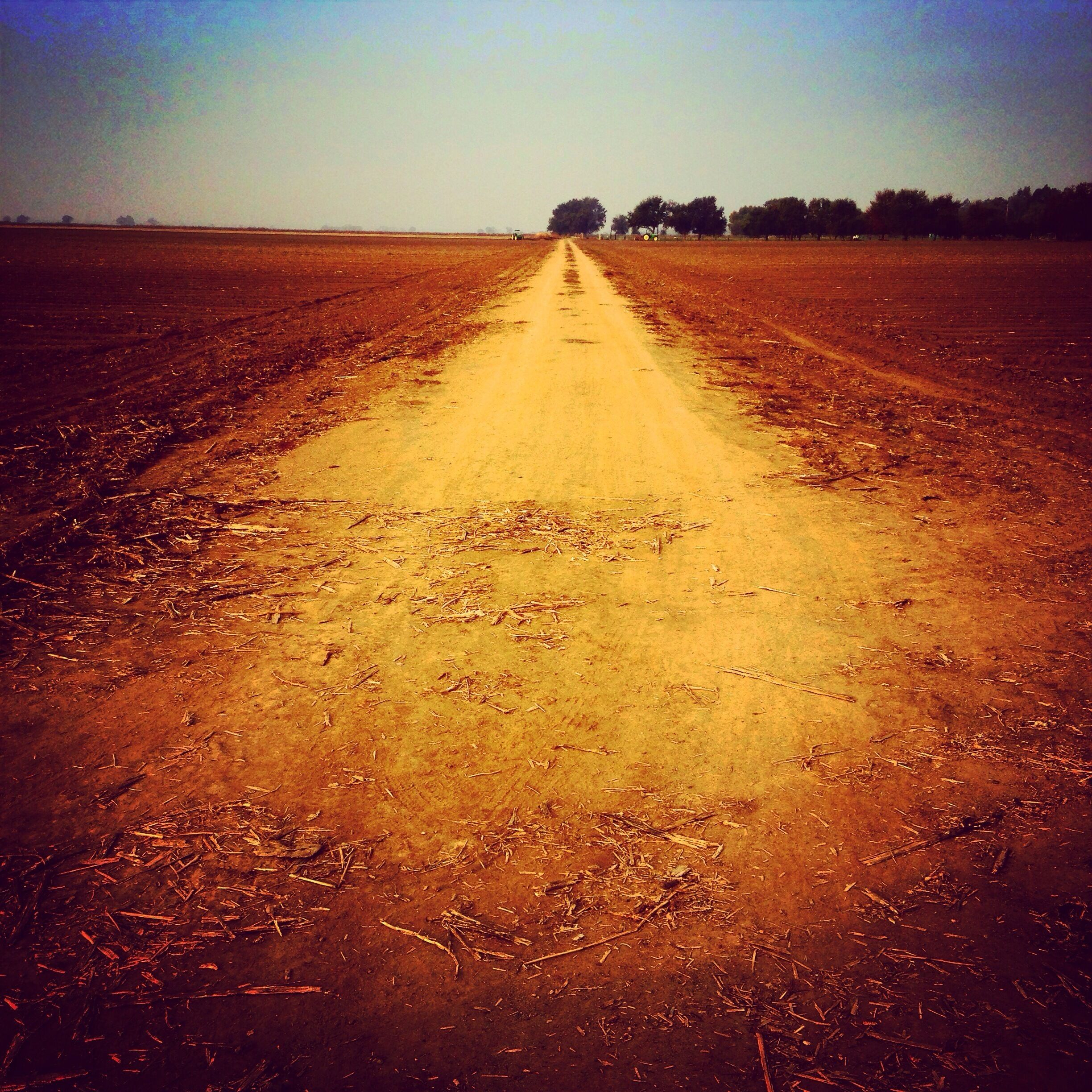 There's not much out here, but there's something beautiful about the country and its farm lands. Miles of rice farms and corn fields. I call it home...and home is where the heart is. 