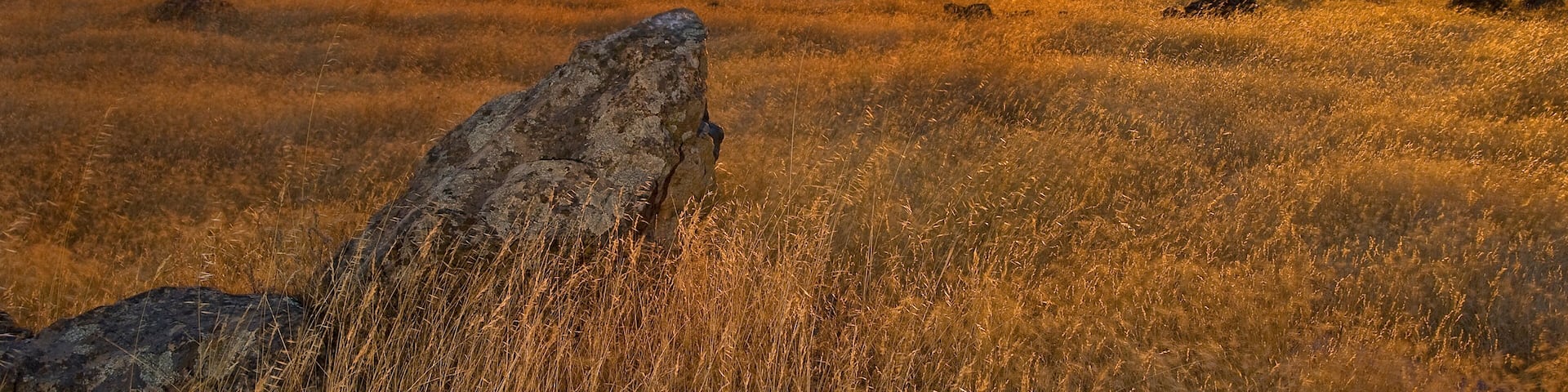 Un atardecer sobre un campo de hierba con rocas dispersas y colinas lejanas.