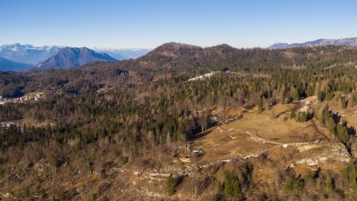 ๋ผ๋ฐ๋ก๋ค