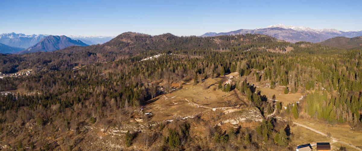 A mountainous landscape with dense forests, a clear sky, and distant snow-capped peaks.