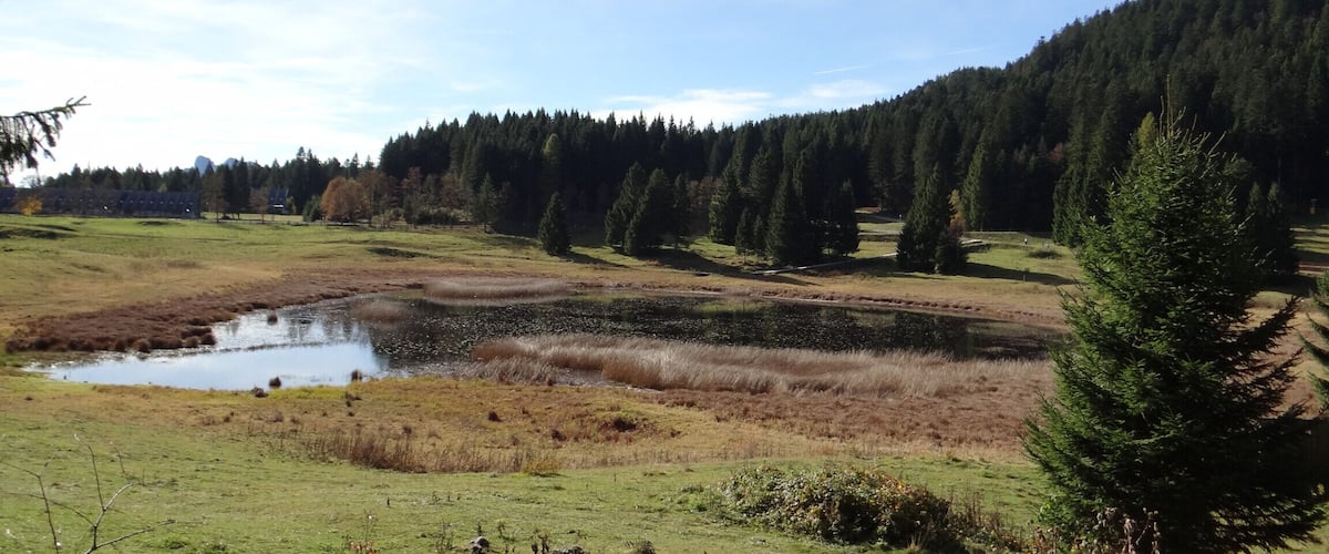 Palu' di Monte Rovere (Q49967123)