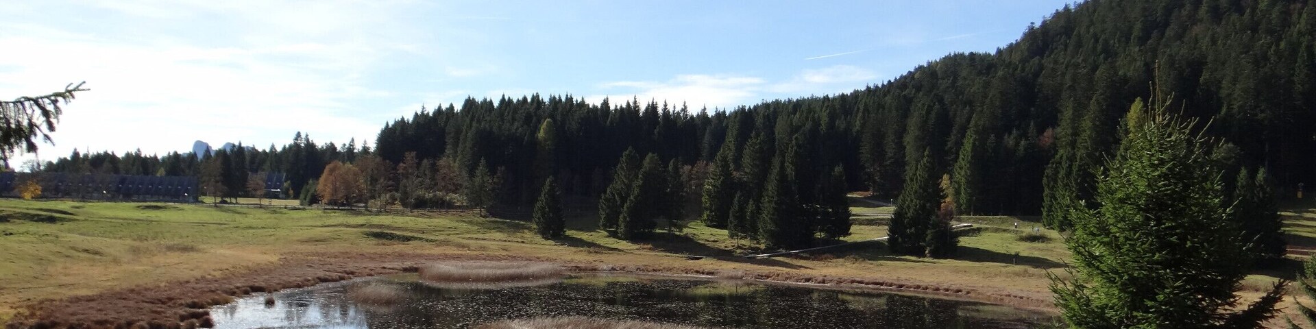 Palu' di Monte Rovere (Q49967123)