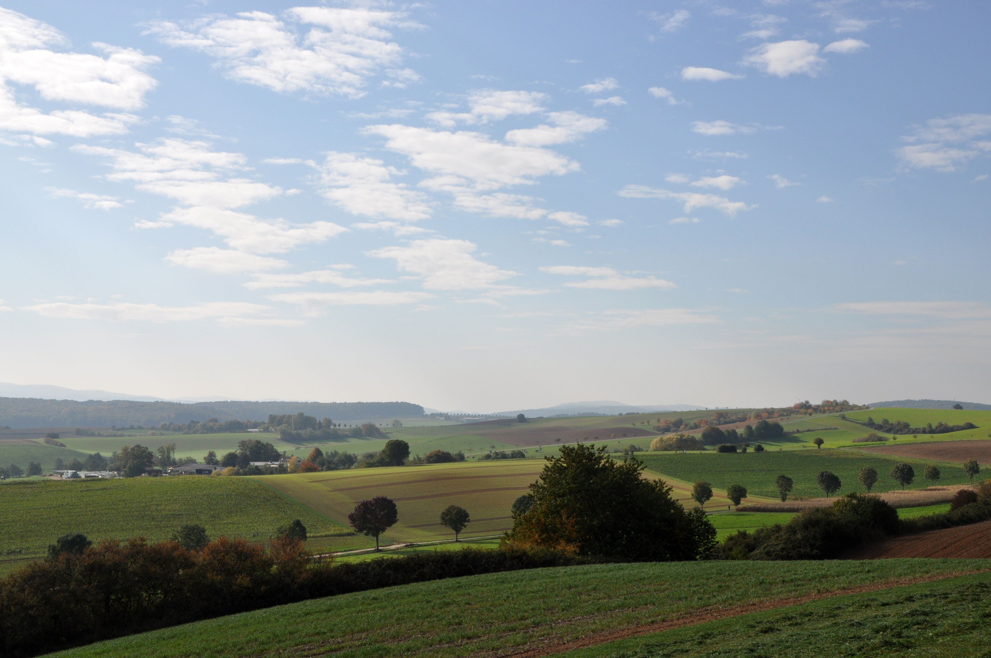 Rolling green hills, scattered trees, and a clear blue sky with clouds.
