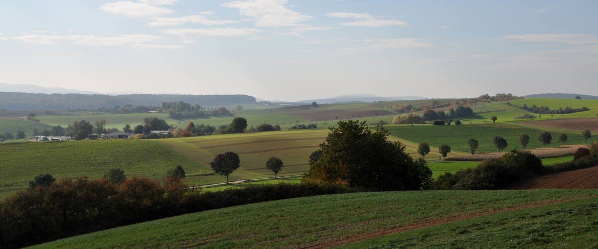 Rolling green hills, scattered trees, and a clear blue sky with clouds.