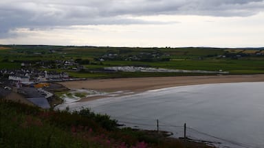 Ardmore beach
