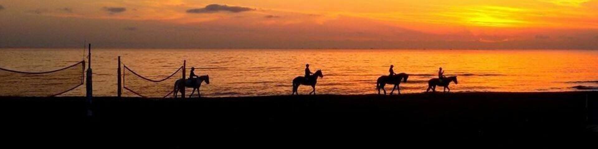 Sunset with horse