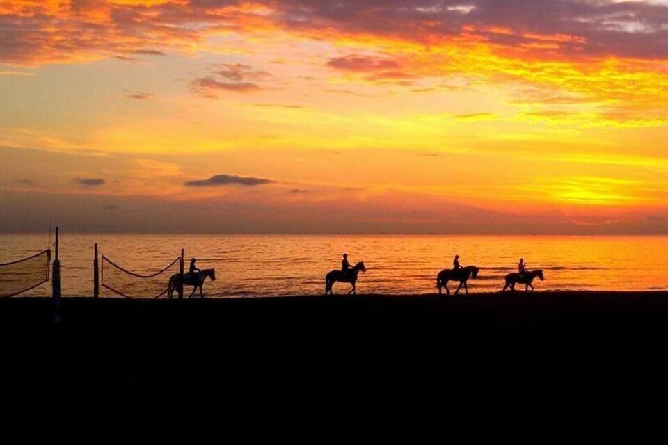 A sunset over the ocean with silhouettes of people on horseback.