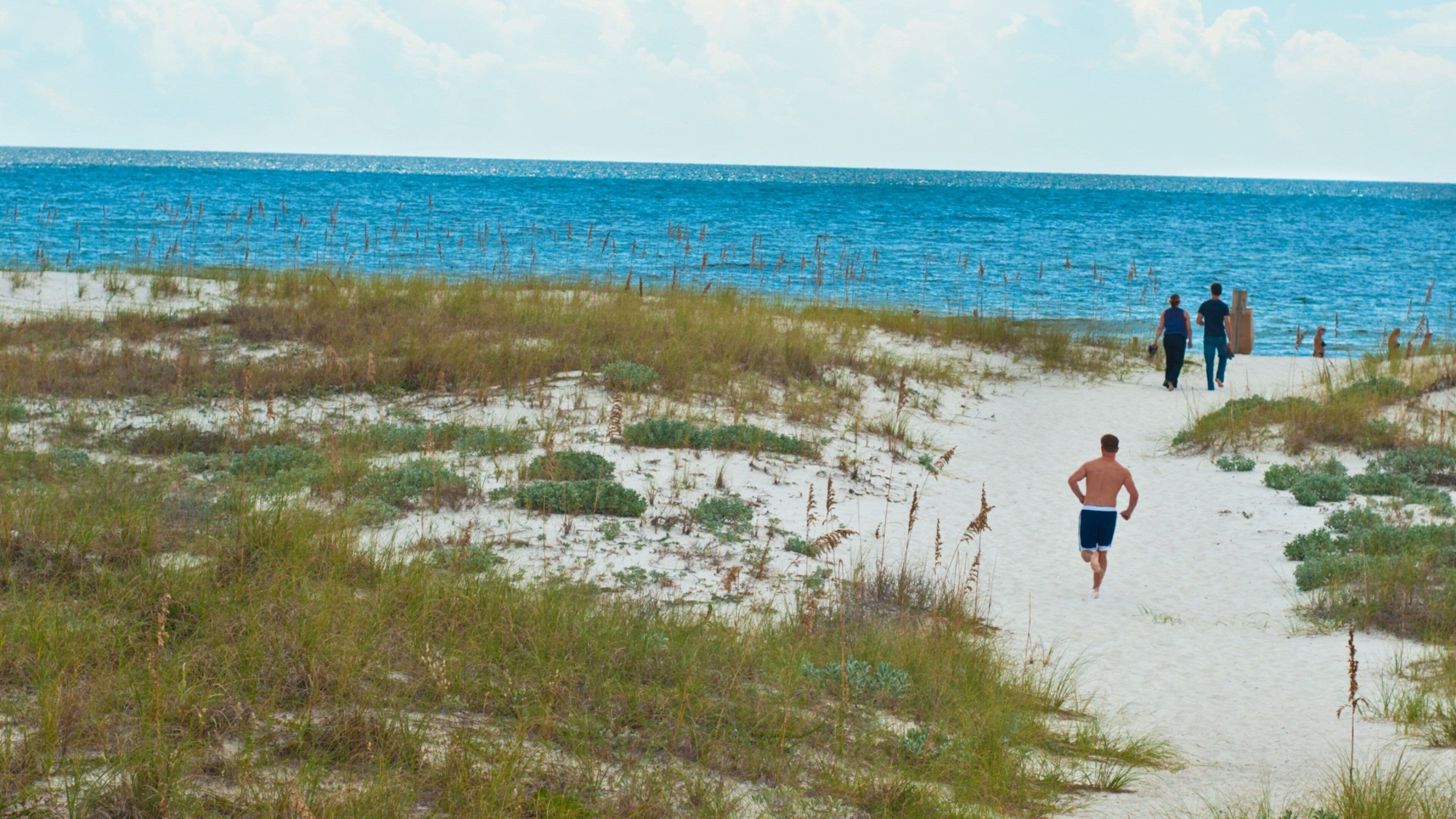 South Walton Beaches showing a sandy beach and general coastal views as well as a small group of people
