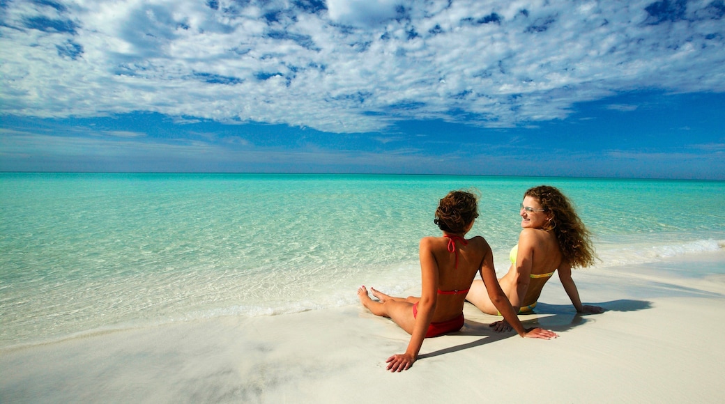 Playas de South Walton mostrando una playa y vistas de paisajes