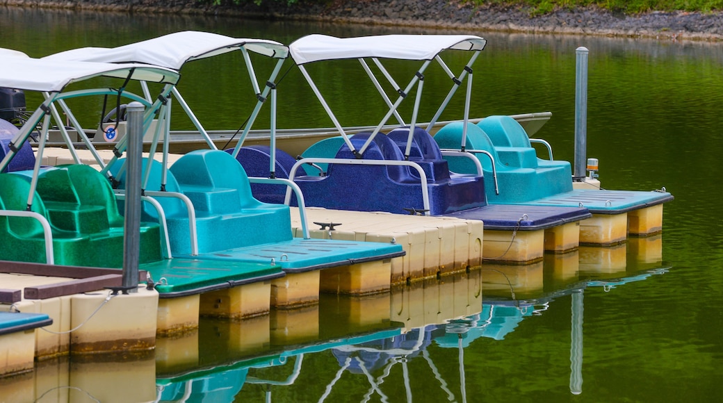 Paddle boats docked at Steel Lake Park in Bristol Tennessee