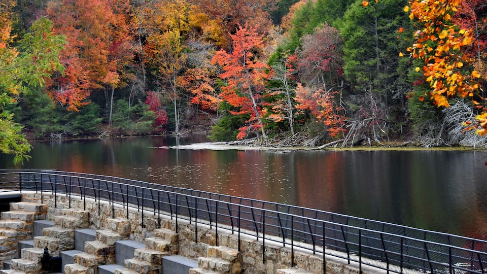 A stone staircase leading to a bridge over a calm lake surrounded by autumn-colored trees.