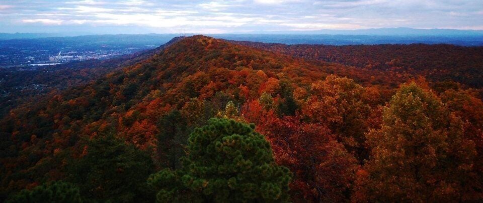 Another shot from the firetower...fall comes alive with color on Bays Mountain! This city owned park has some of the most beautiful sights in Kingsport!

#hiking #weekendgetaway