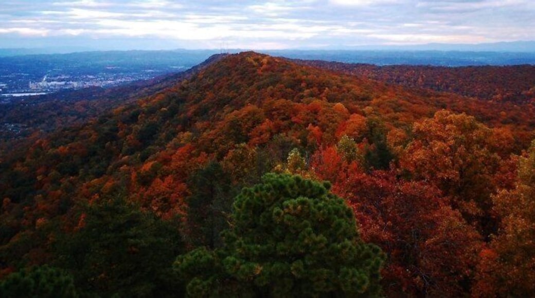 Another shot from the firetower...fall comes alive with color on Bays Mountain! This city owned park has some of the most beautiful sights in Kingsport!
#hiking #weekendgetaway