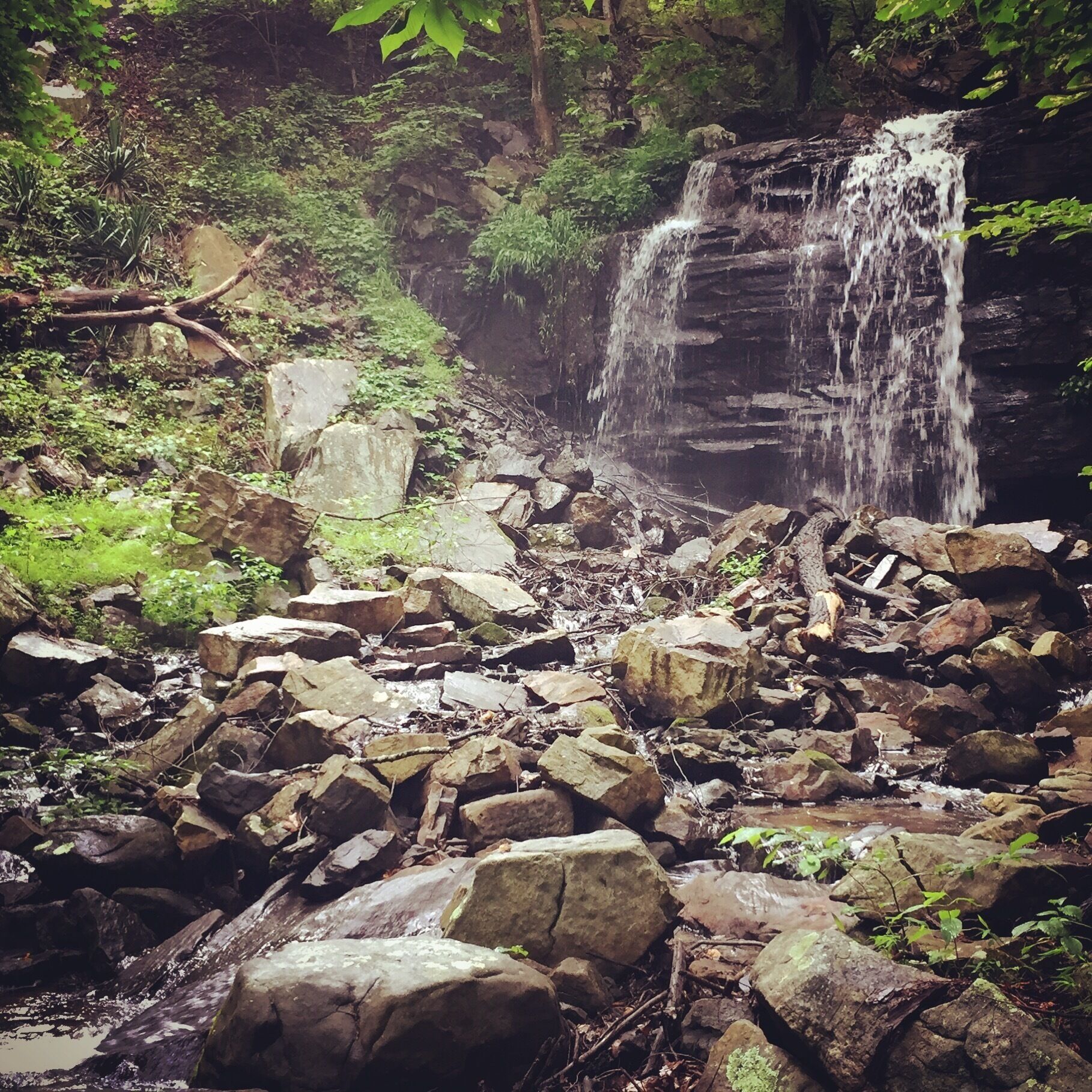 We stumbled across these beautiful falls on a side trail from Bays Mountain in Tennessee. #baysmountain #waterfalling #hiketennessee #hikingforChrist