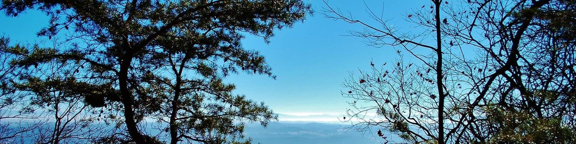 The Bay's Ridge Road Trail is a beautiful change of scenery from the Fire Tower. This is definitely a must when visiting this city owned park!!!
http://www.baysmountain.com
#baysmountain #hiking #getoutside #trails #kingsporttn #howboutthatview