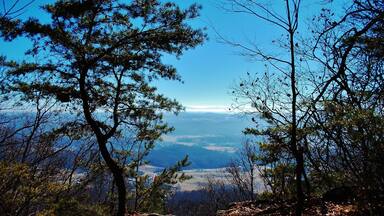The Bay's Ridge Road Trail is a beautiful change of scenery from the Fire Tower. This is definitely a must when visiting this city owned park!!!
http://www.baysmountain.com
#baysmountain #hiking #getoutside #trails #kingsporttn #howboutthatview