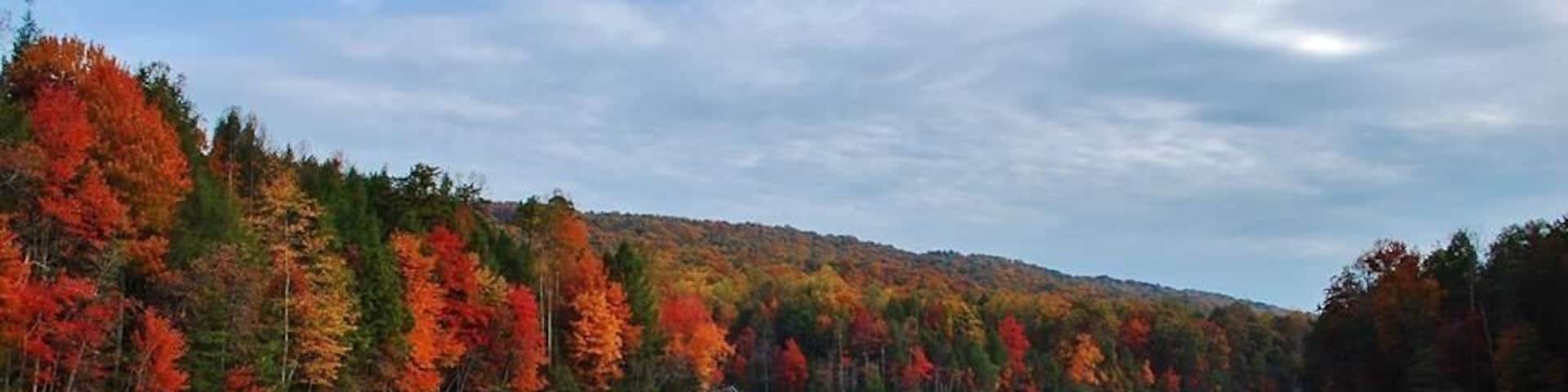 Iconic view from the dam at Bays Mountain Park in Kingsport, Tennessee. This place is beautiful no matter what season it is!! 🍁
#baysmountain #fall #leaves #reflections #clouds #beautifulday #fall2015 #whataview
