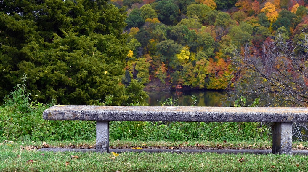 Bench Seating Overlooking Holston River