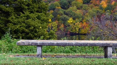 Bench Seating Overlooking Holston River