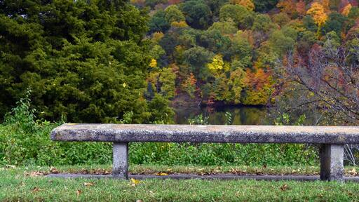 Kingsport