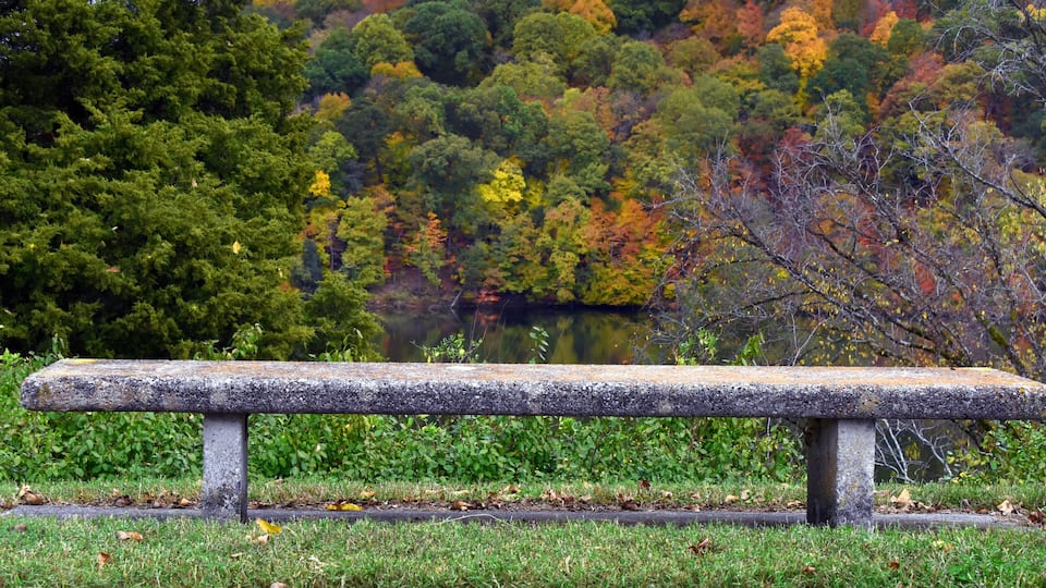 Bench Seating Overlooking Holston River